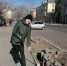 В минувшие выходные команда Дворца детского (юношеского) творчества» приняла активное участие в общегородском субботнике - Комитет образования г. Чита